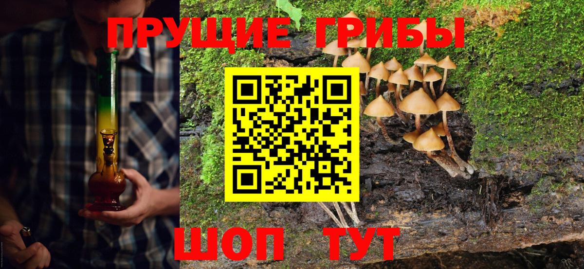 Псилоцибиновые грибы мухоморы  Вход с VPN  Вязники  Псилоцибиновые грибы мицелий 